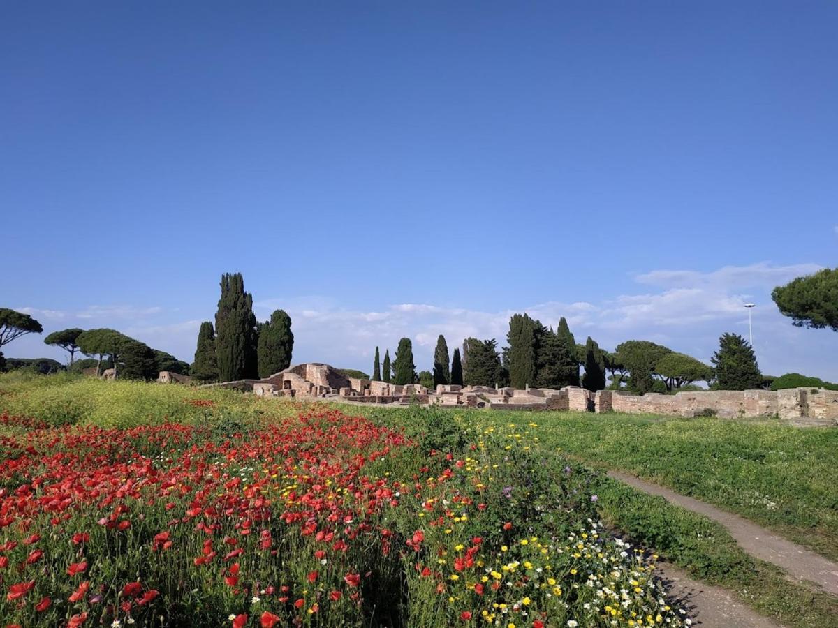 Le Cicale Villa กาซาล ปาล็อกโก ภายนอก รูปภาพ