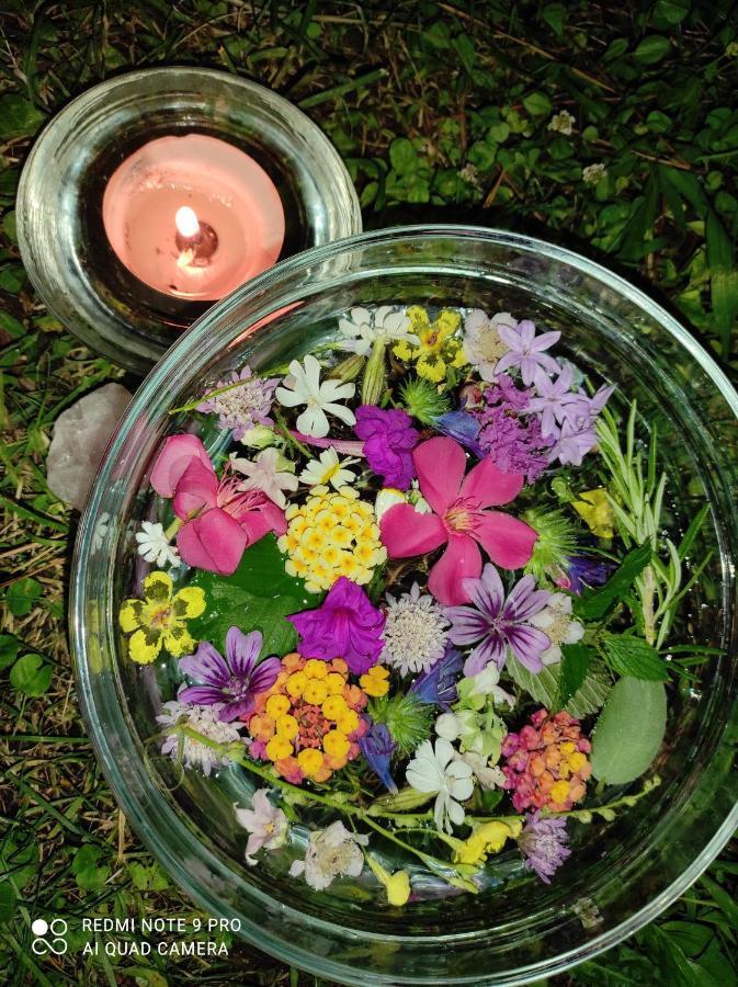 Le Cicale Villa กาซาล ปาล็อกโก ภายนอก รูปภาพ