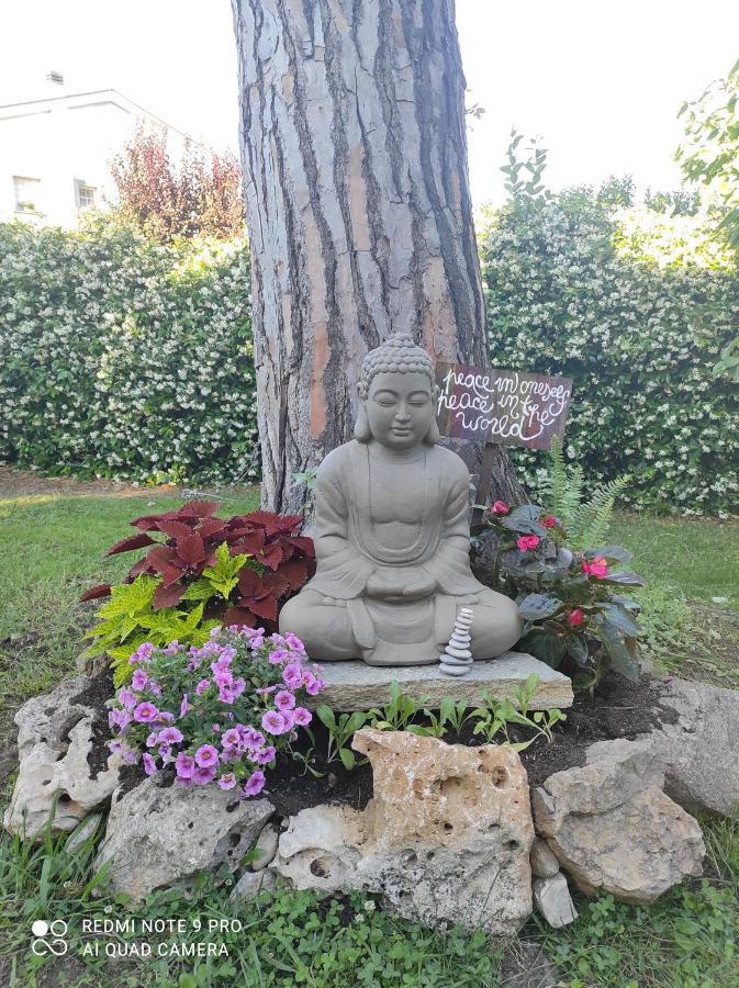 Le Cicale Villa กาซาล ปาล็อกโก ภายนอก รูปภาพ